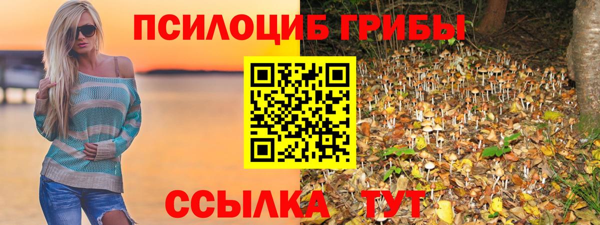 Псилоцибиновые грибы Magic Shrooms  Вход с VPN  Люберцы 